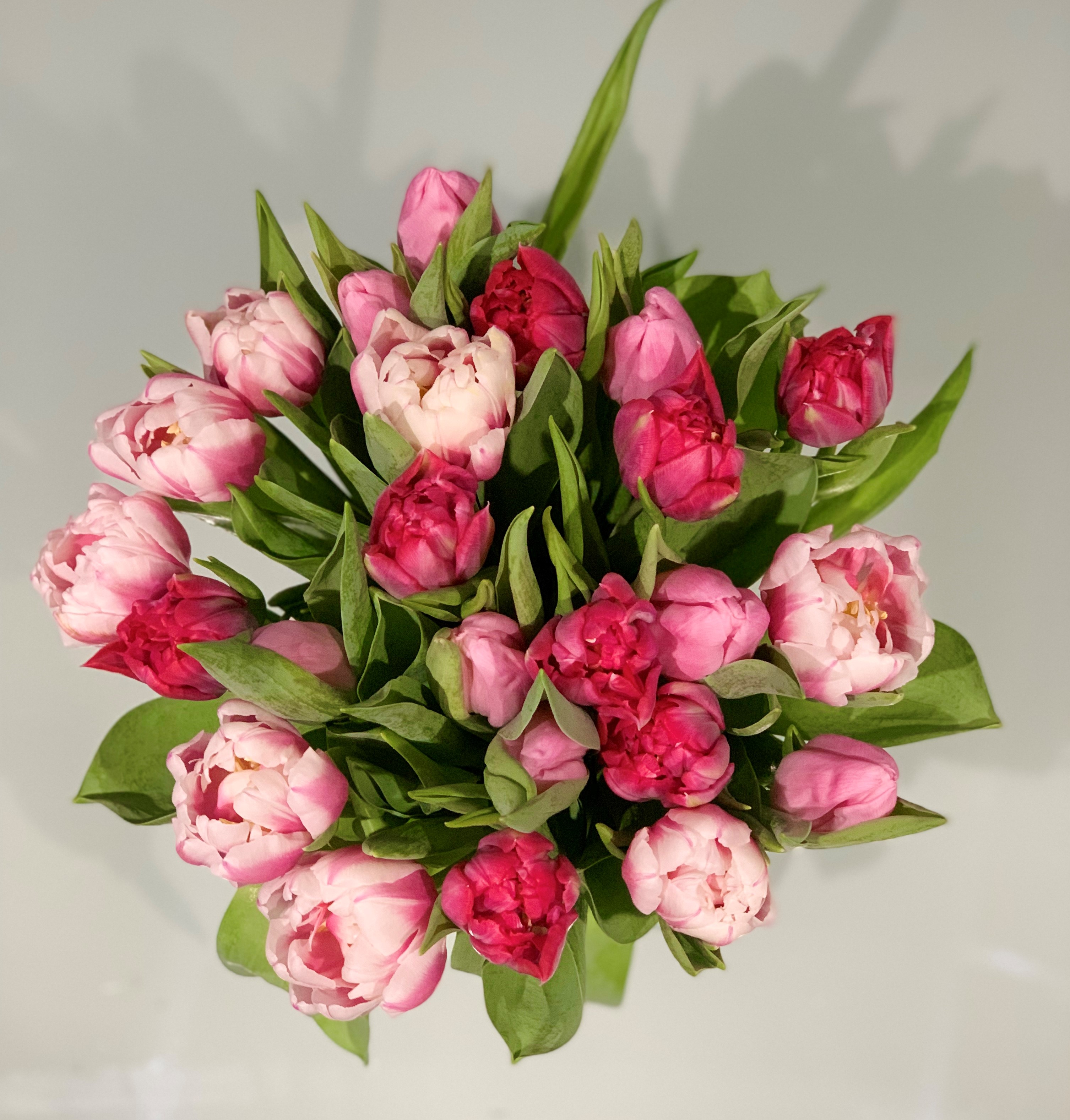 Pink Deluxe Tulip Mix