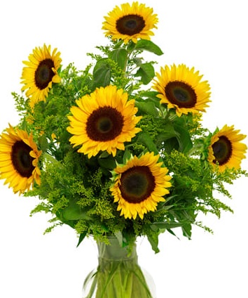 Snazzy Sunflowers