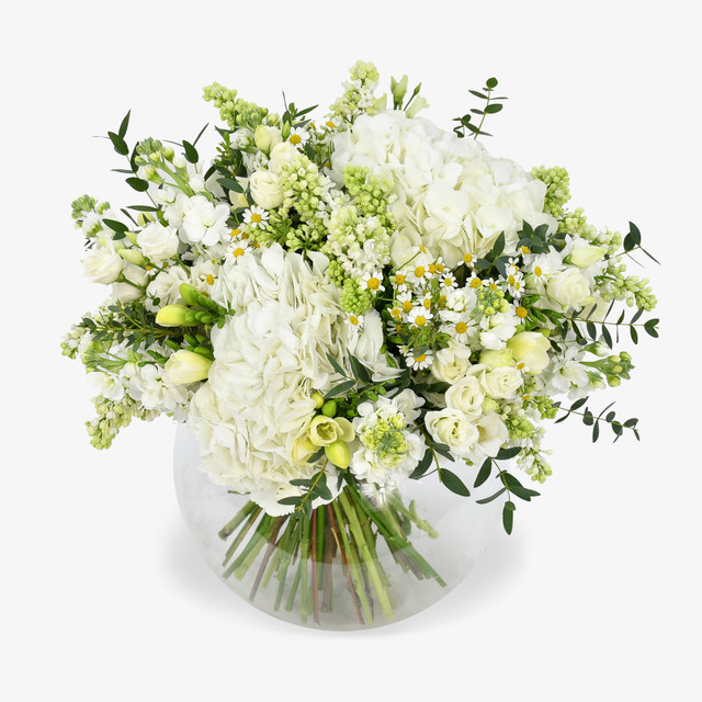 Original by Moyses Stevens Flowers — flowers available for delivery from Floom