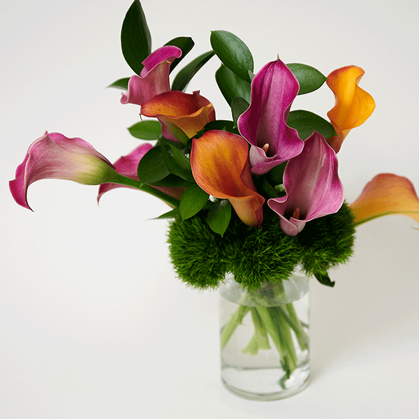 Calla Spray.