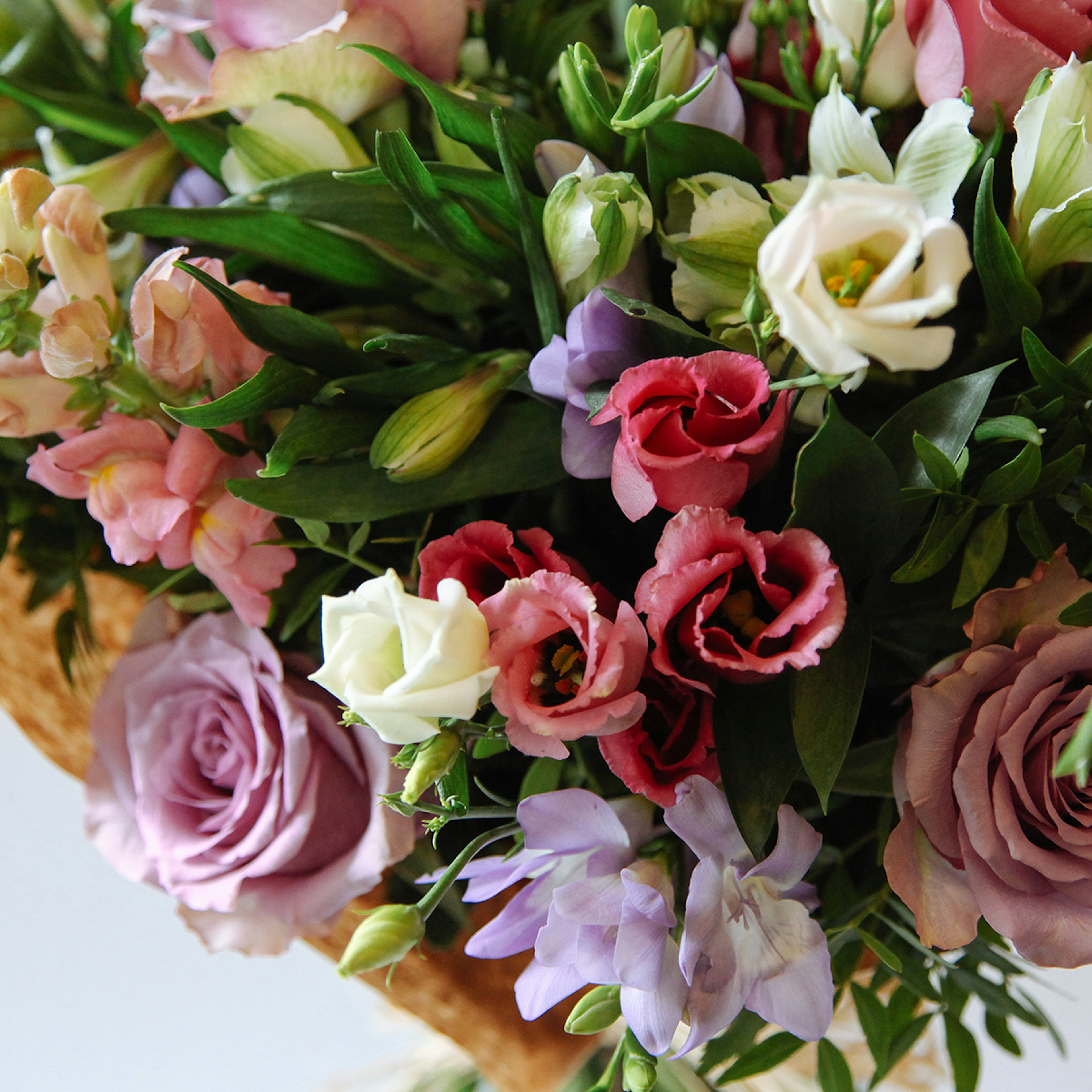 Divinely Delicate original