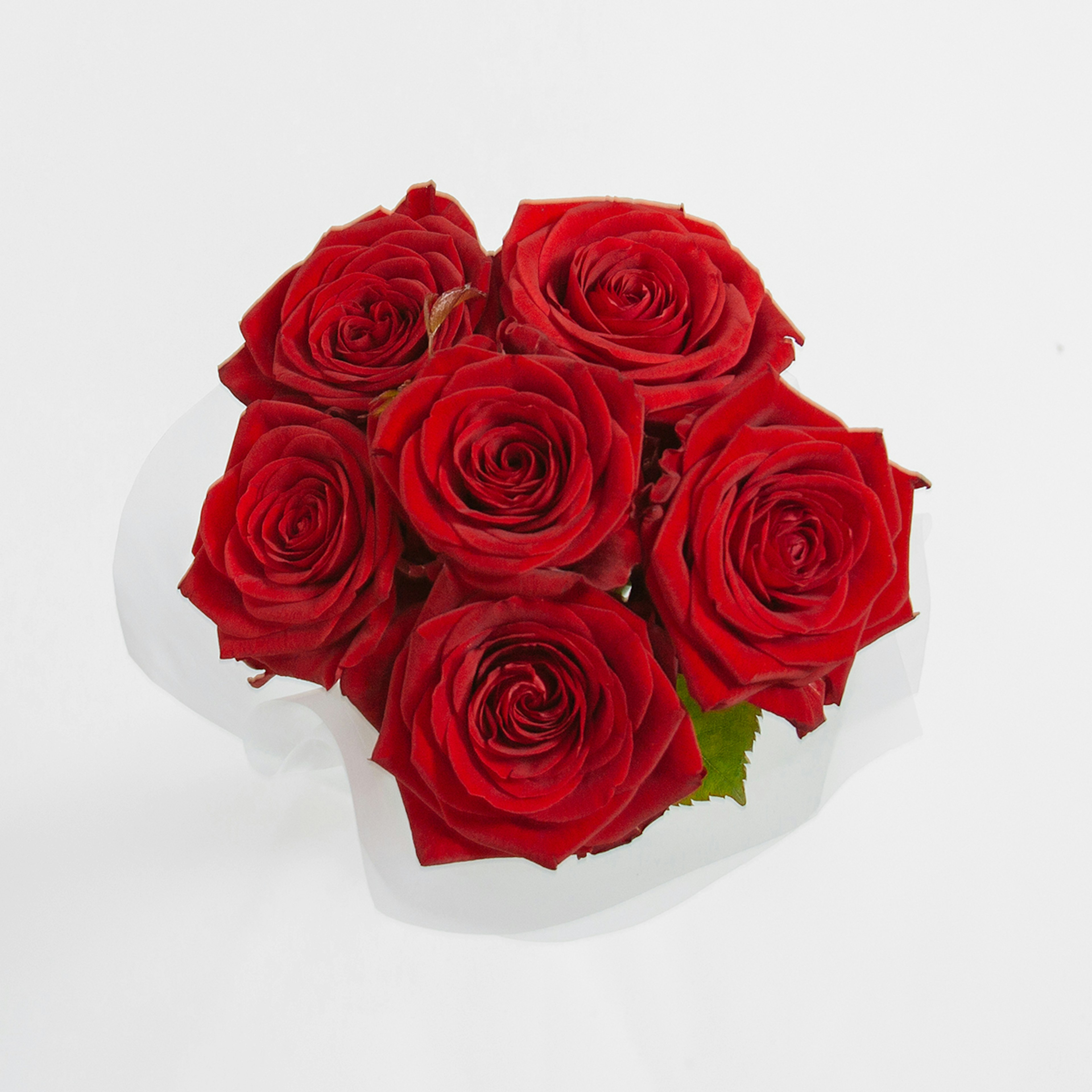 Dozen Red Rose original