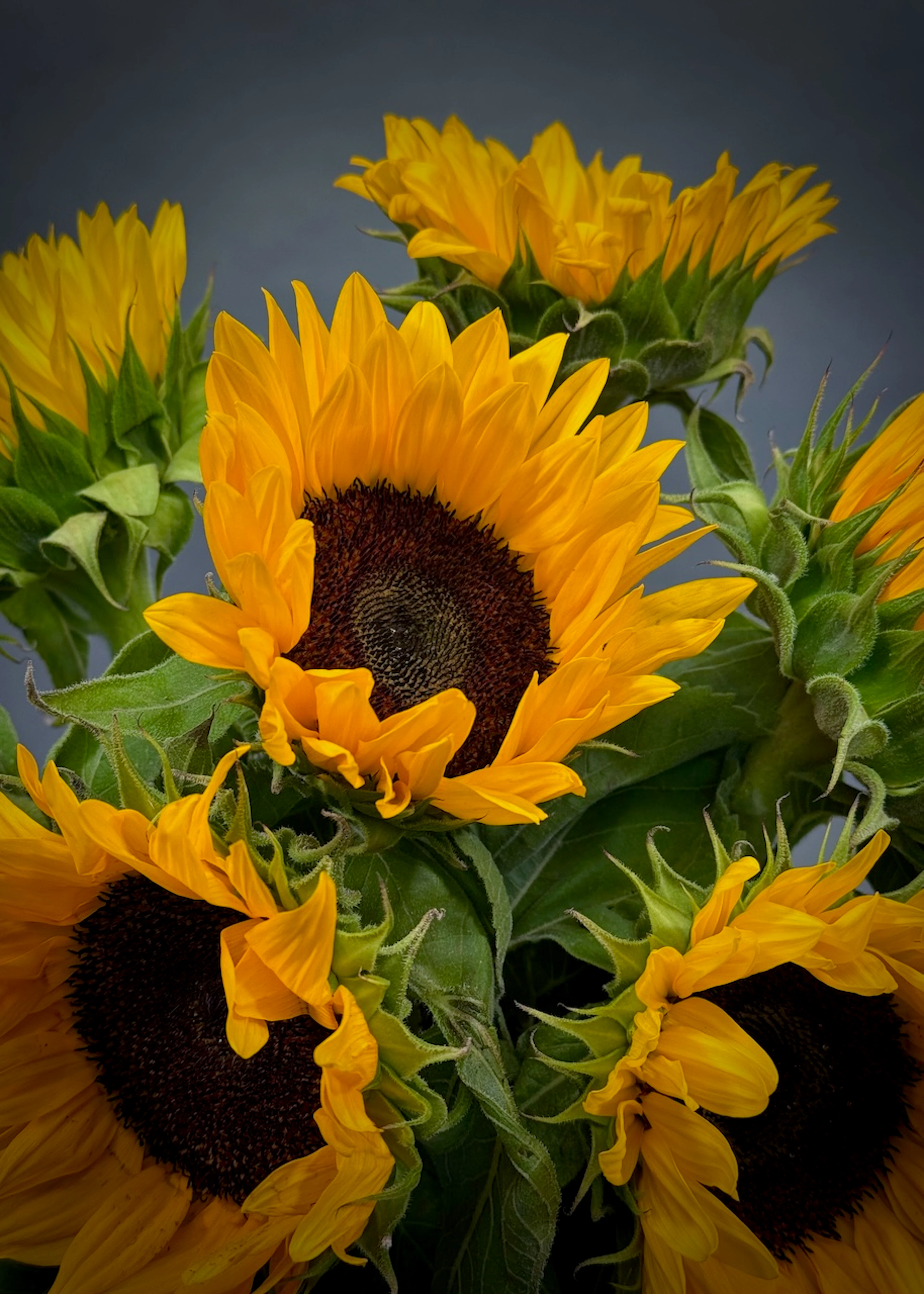 Original by Maples Flowers — flowers available for delivery from Floom