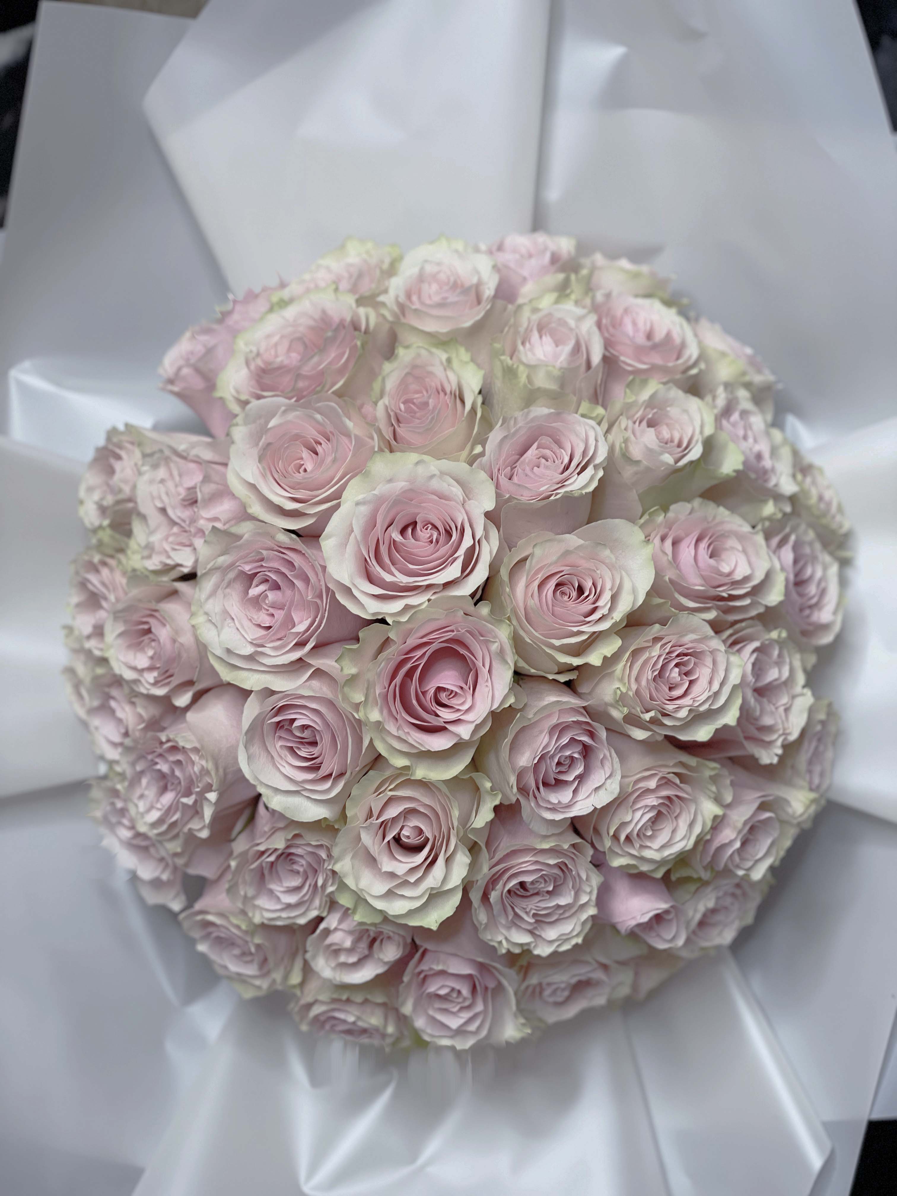 Pink Roses PETALONIA