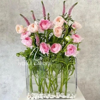 Ranunculus-Veronica