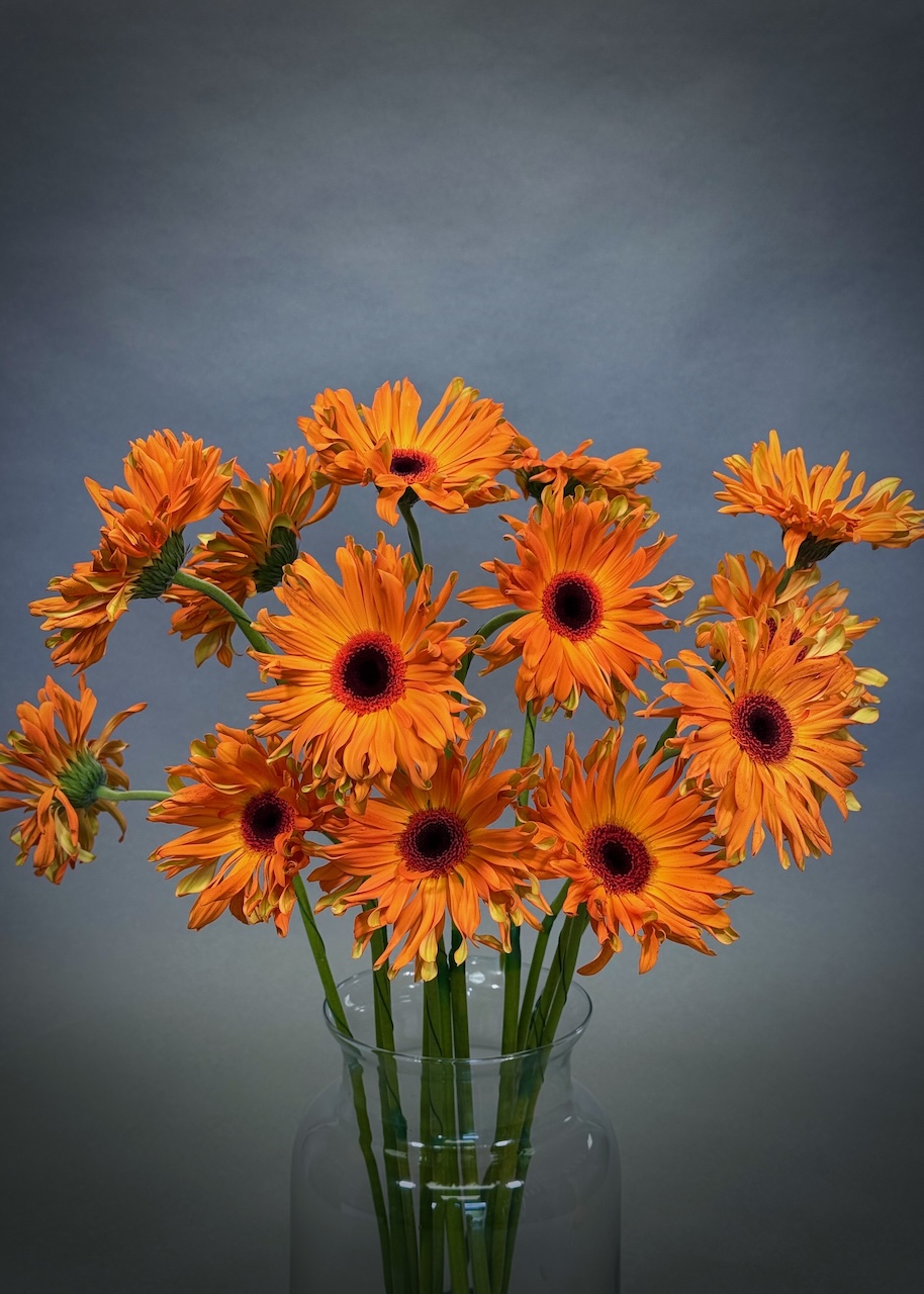 Original by Maples Flowers — flowers available for delivery from Floom