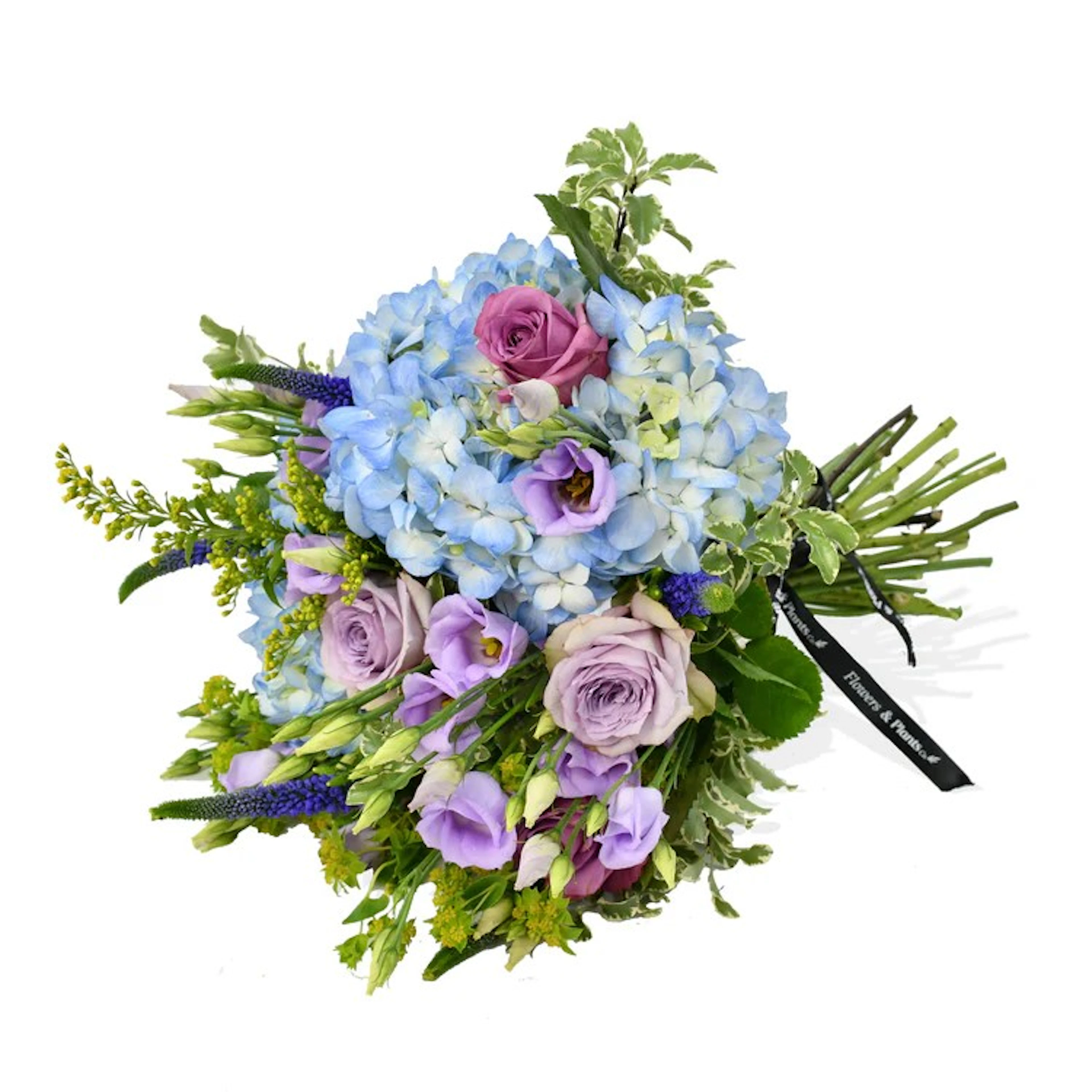 Original by Flowers & Plants Co — flowers available for delivery from Floom