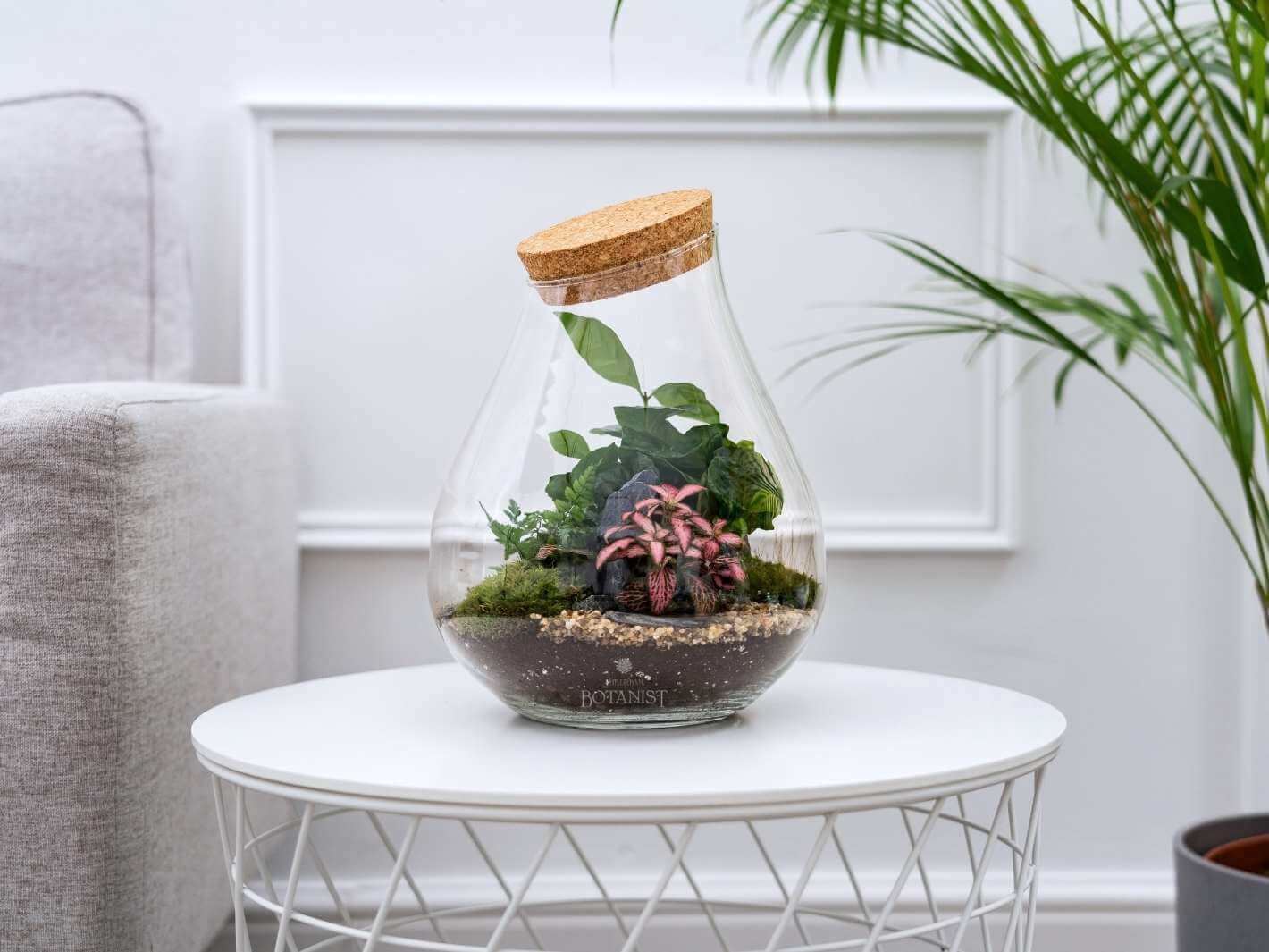 DIY Terrarium Kit H25