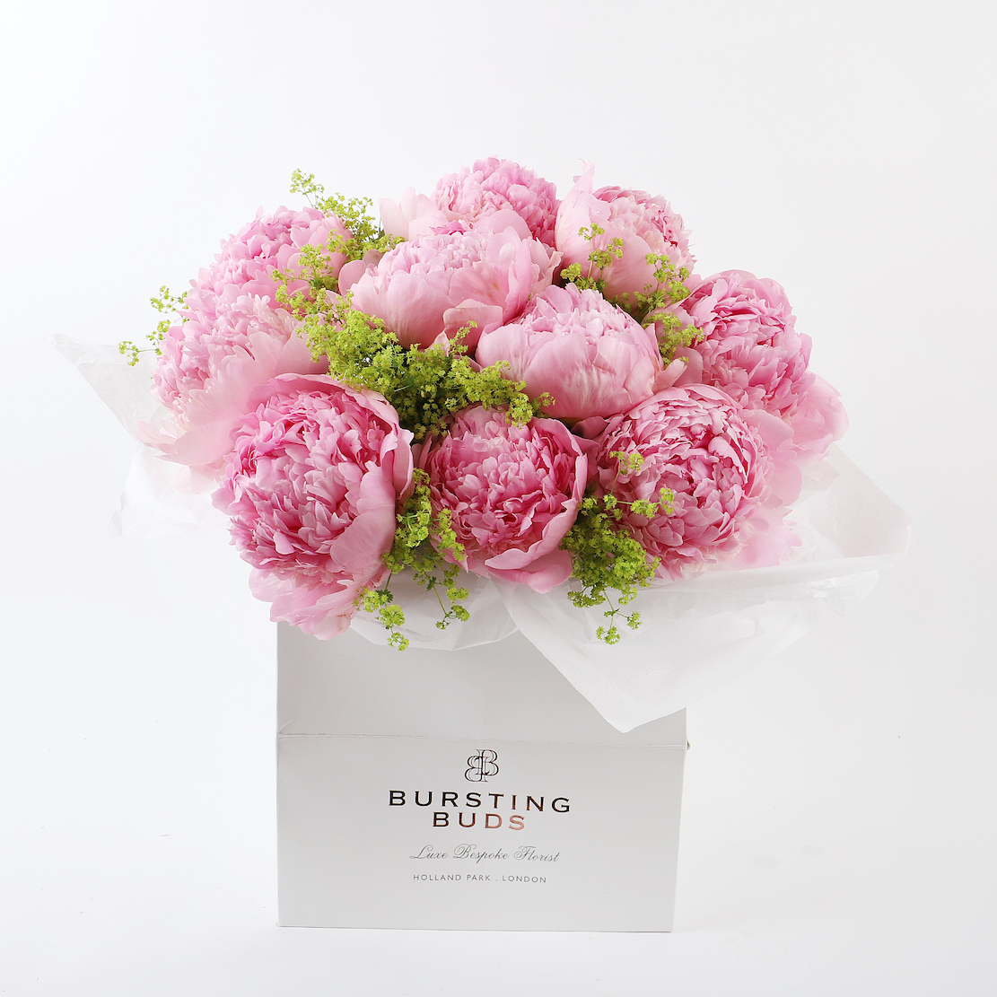 PALE PINK PEONY