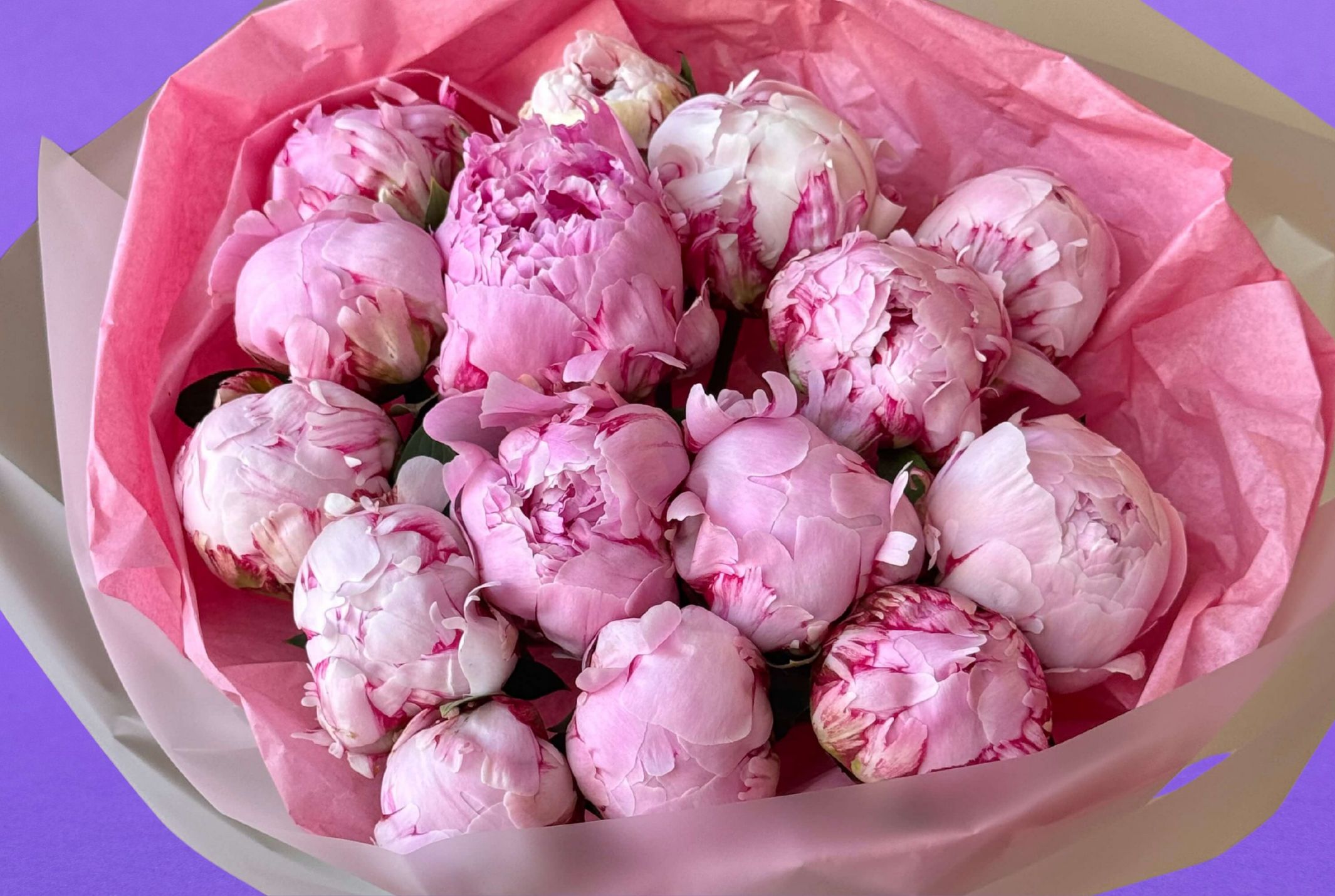 Pink Peonies Bouquet
