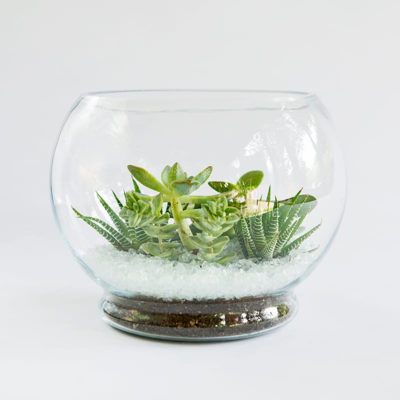 Crystal Bowl