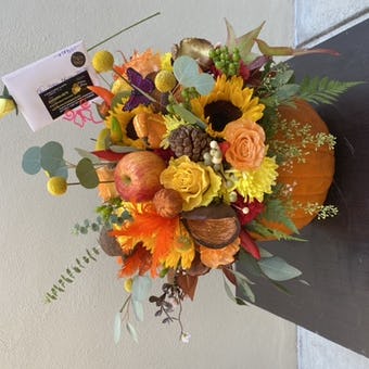 PUMPKINCOPIA THANKSGI