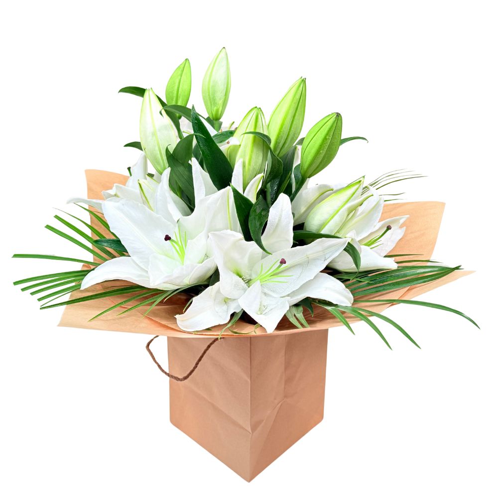 Celestial Grace White