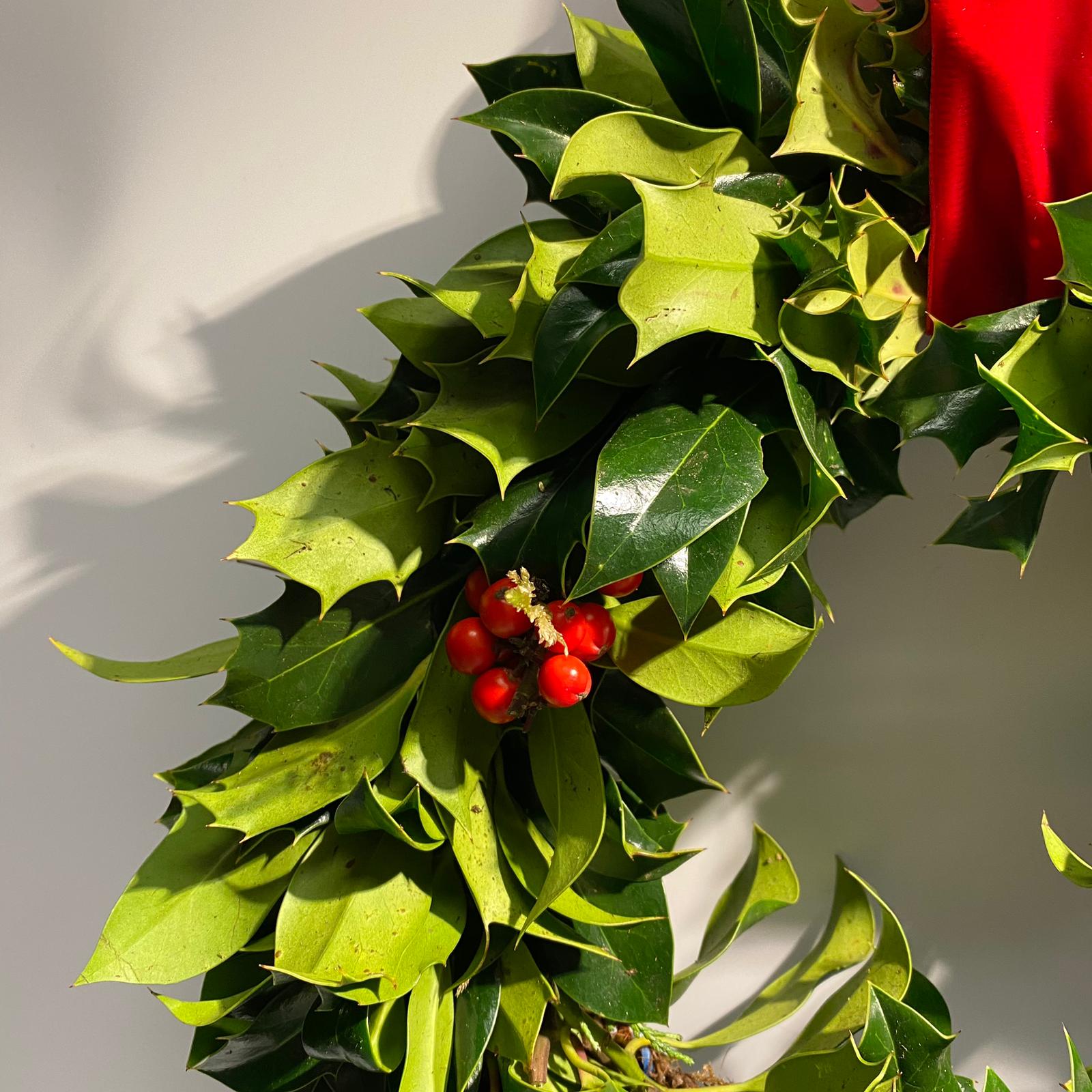Holly Wreath