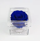 Eternal Rose Midnight