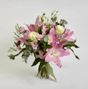 Pink Lily