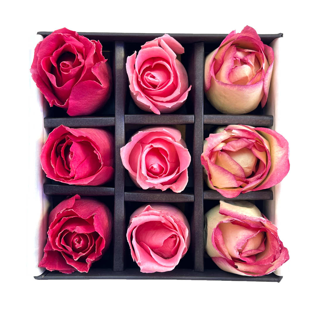 BLOOMING HEARTS