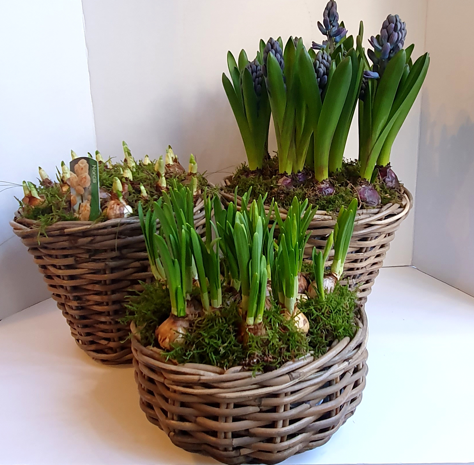Spring Baskets