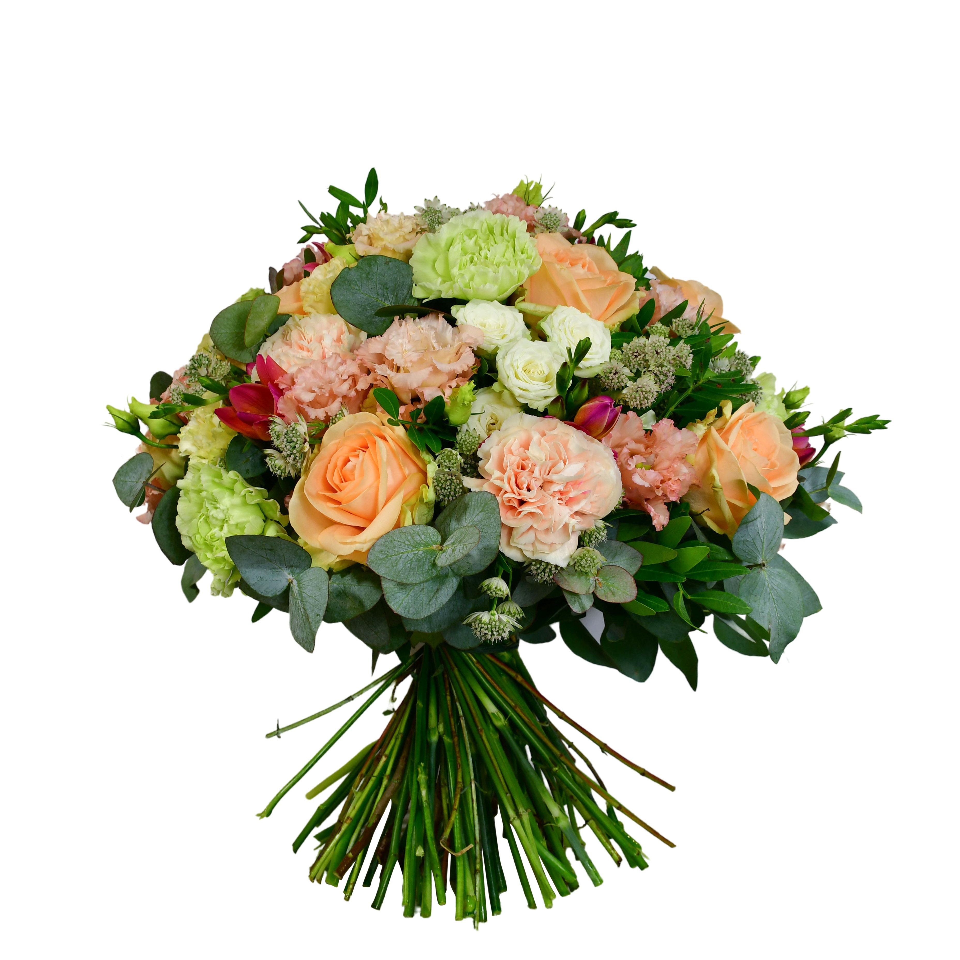 Peach Passion  by Moyses Stevens Flowers — flowers available for delivery from Floom