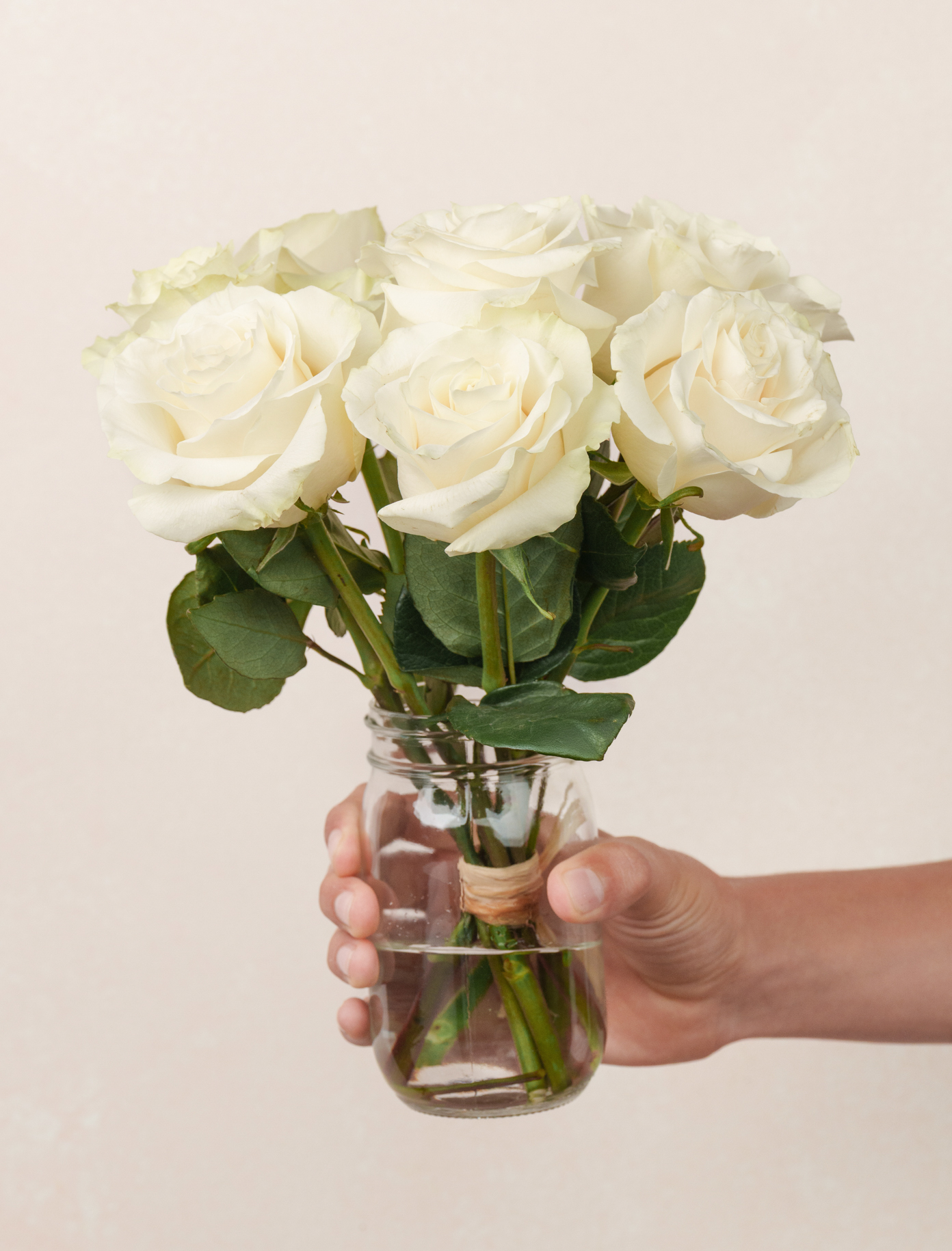 Petite Josephine by Ode a La ROSE- Chicago  — flowers available for delivery from Floom