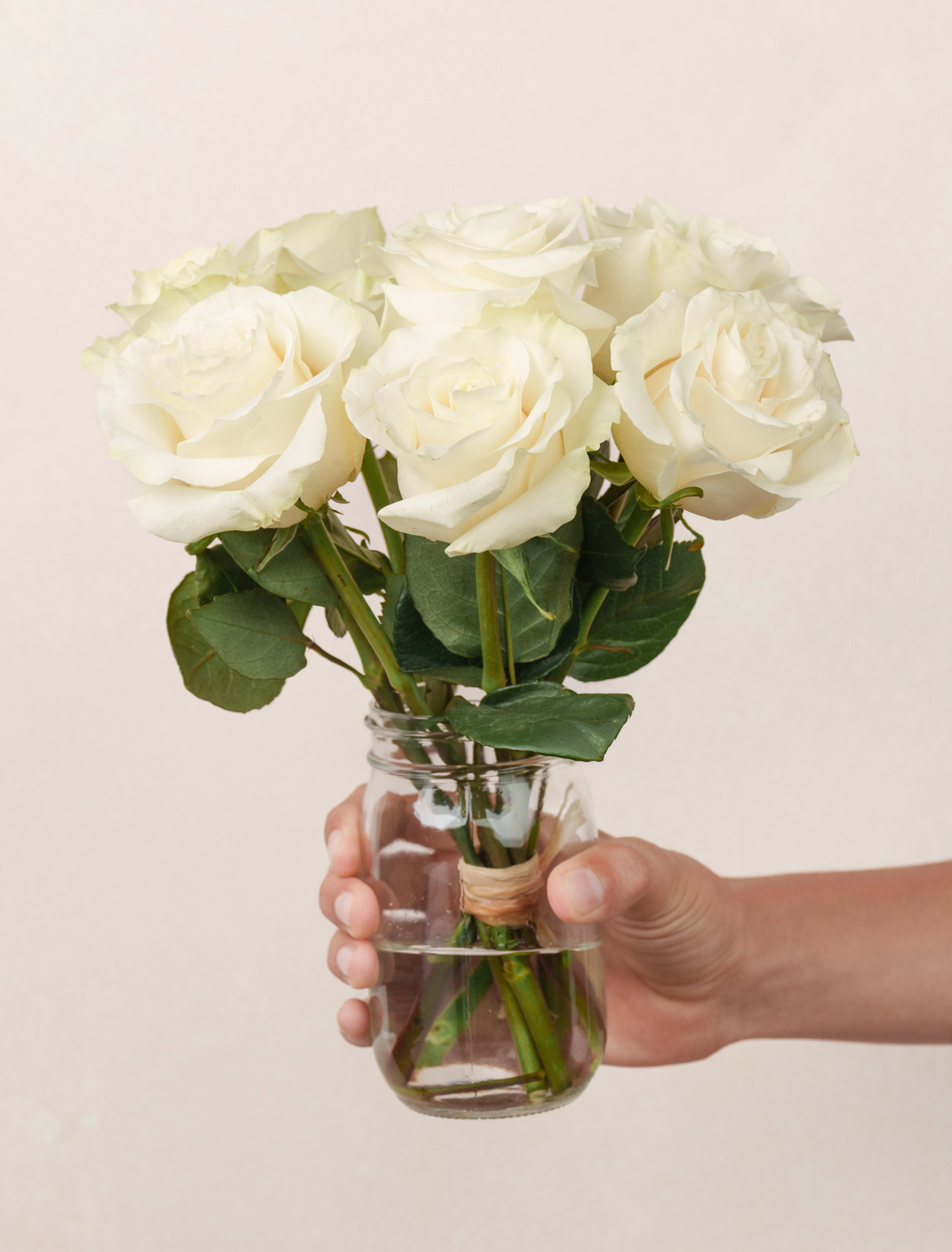 Petite Josephine by Ode a La ROSE- Chicago — flowers available for delivery from Floom