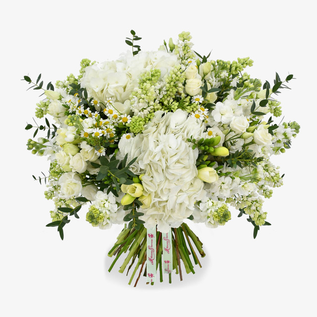 Original by Moyses Stevens Flowers — flowers available for delivery from Floom