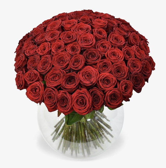 100 Red Roses