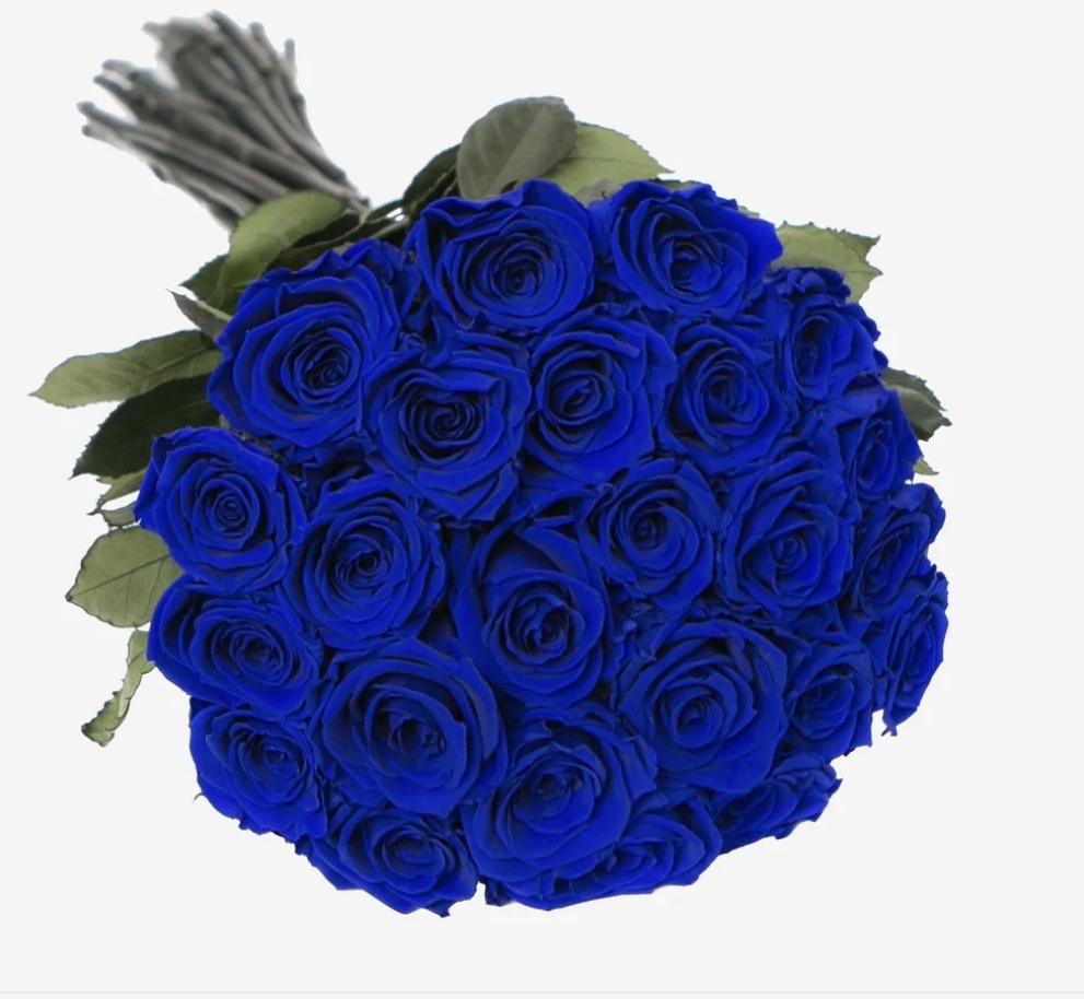 25 dark blue roses