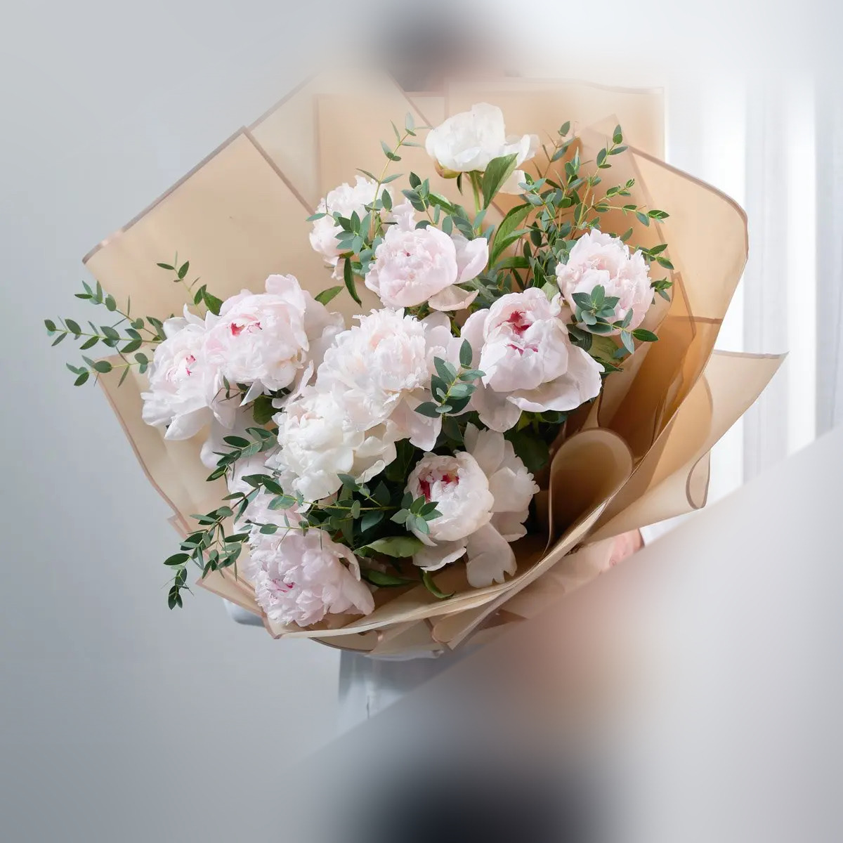 Peonies elegant