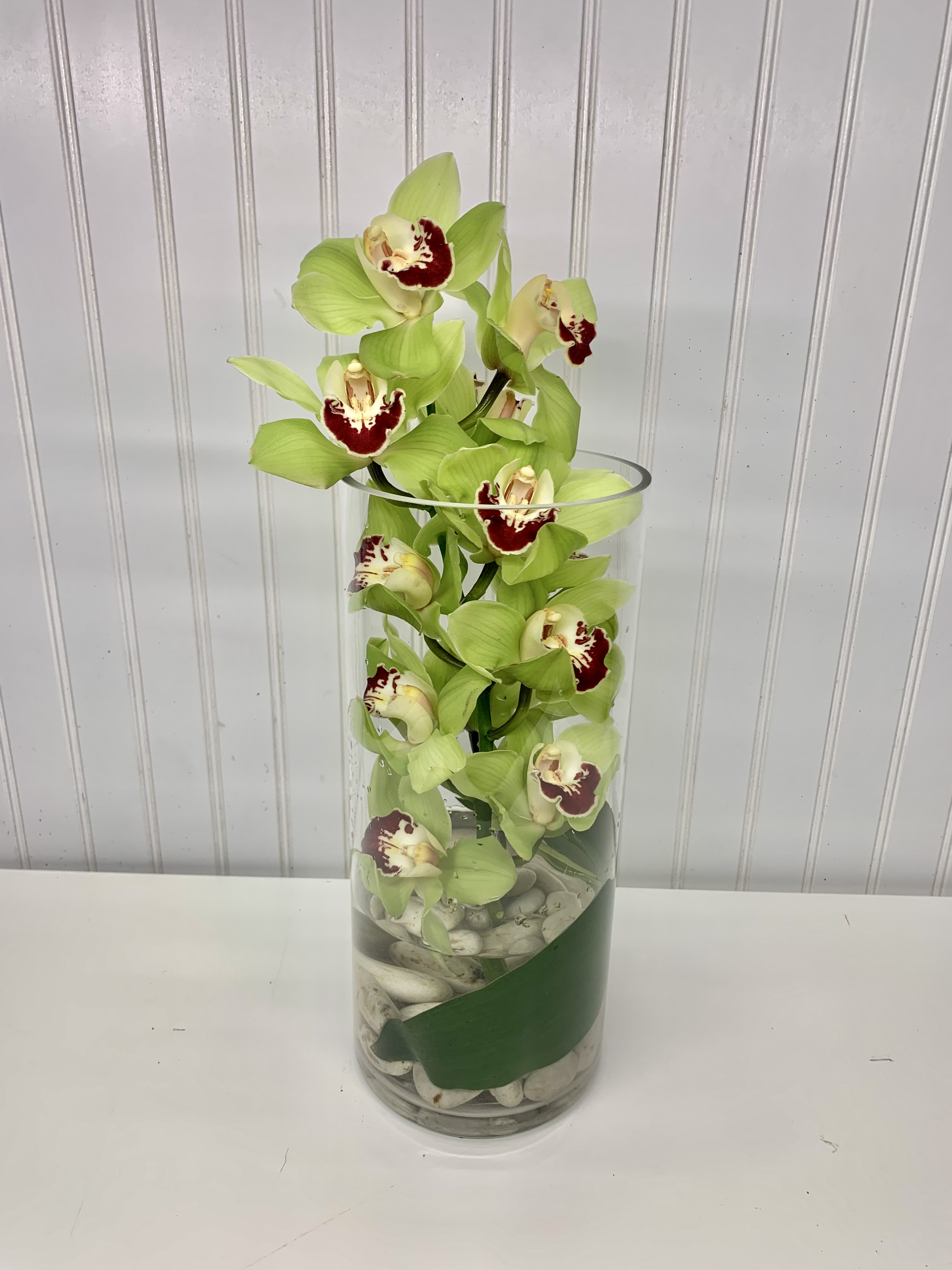 Lovely cymbidium