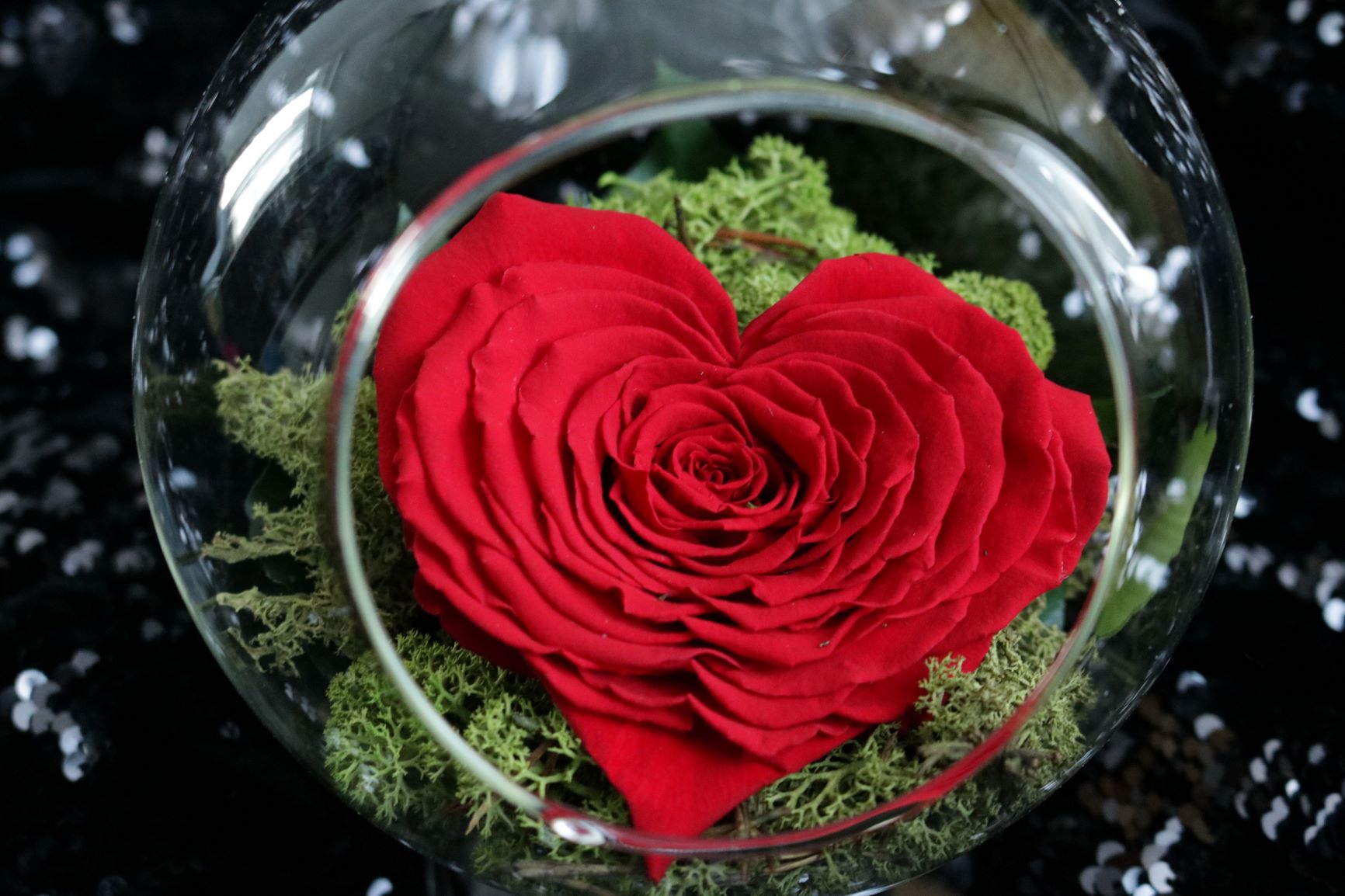 Enhanced Heart Dream 