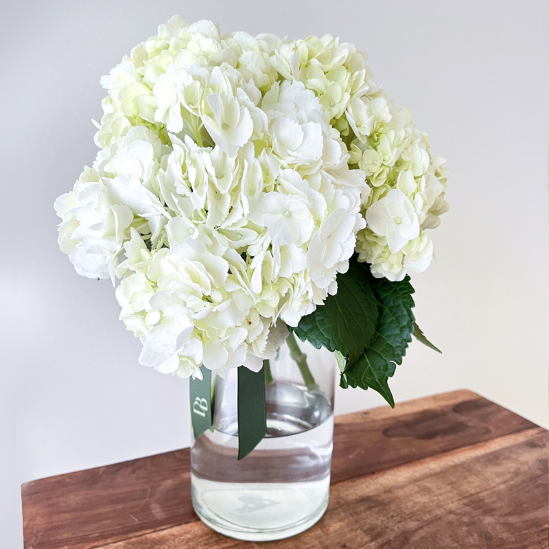 Talia Hydrangea Vase
