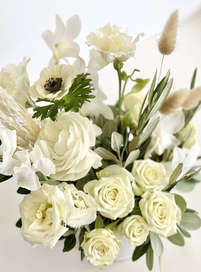 Classic White & Green