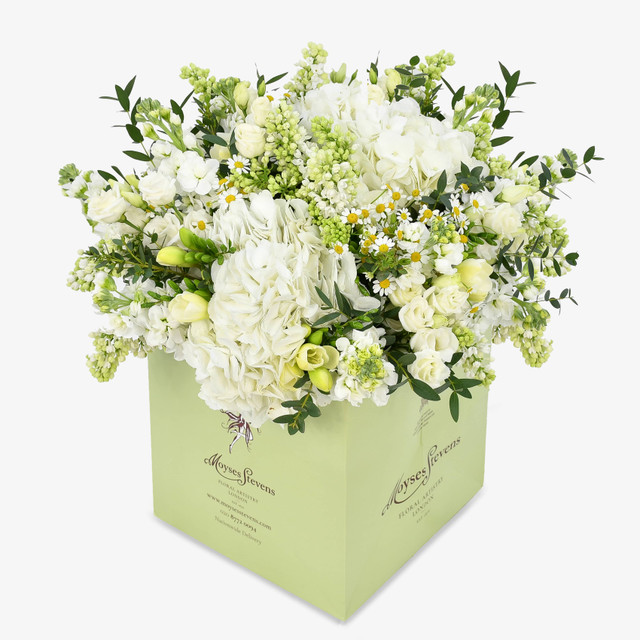 Original by Moyses Stevens Flowers — flowers available for delivery from Floom