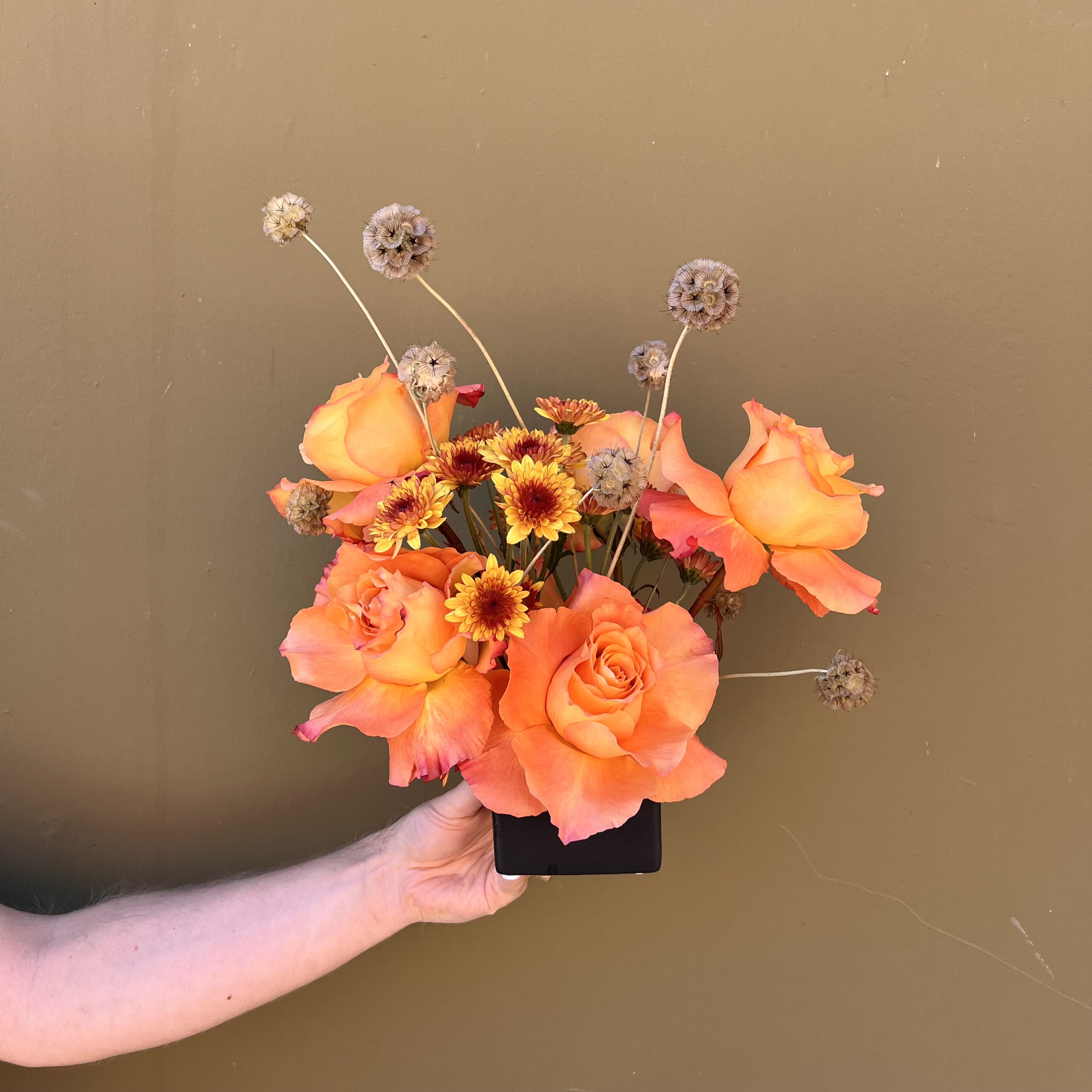 Midnight Pumpkin by The English Garden — flowers available for delivery from Floom
