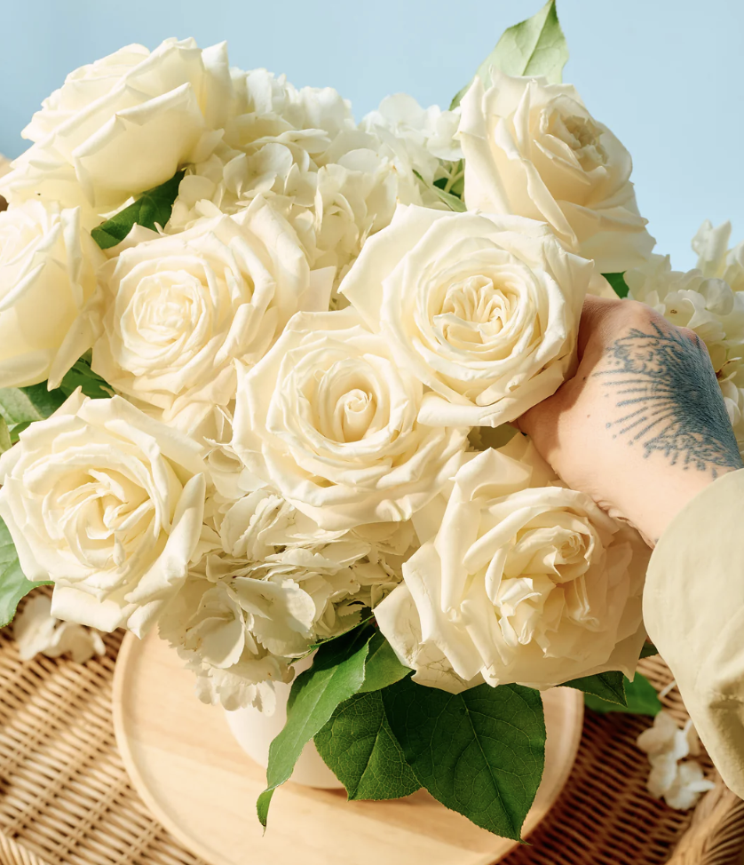 Ivory Double- Ceramic