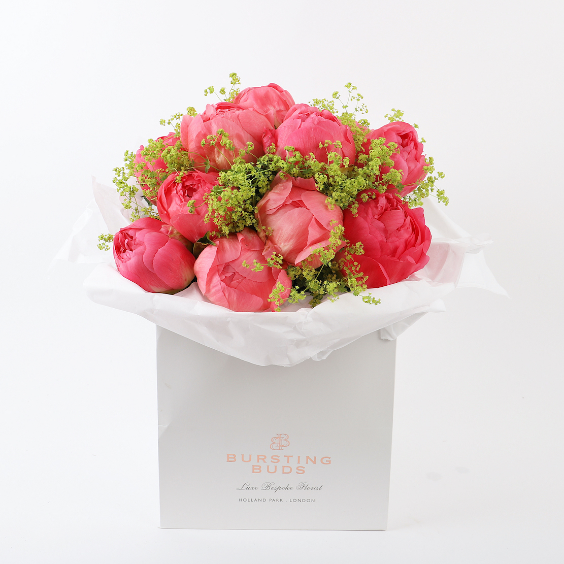 CORAL PEONIES