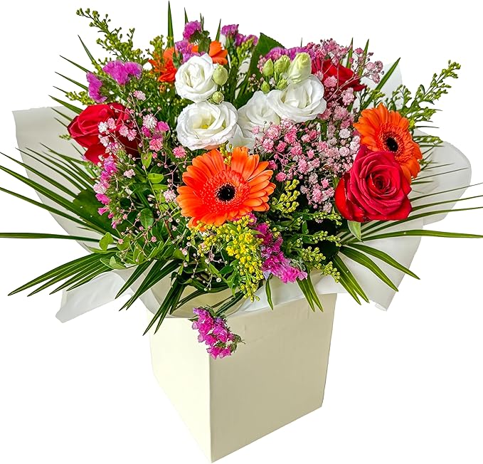 Bright Radiant Sunset