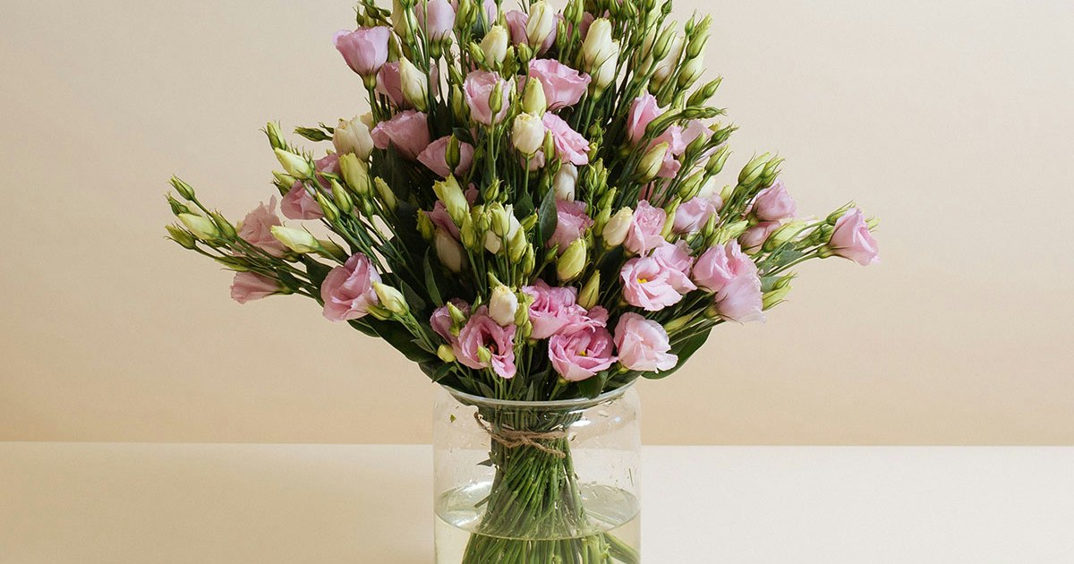 Cola Floom Playful in pink - Floom Collection | Flowers | Floom