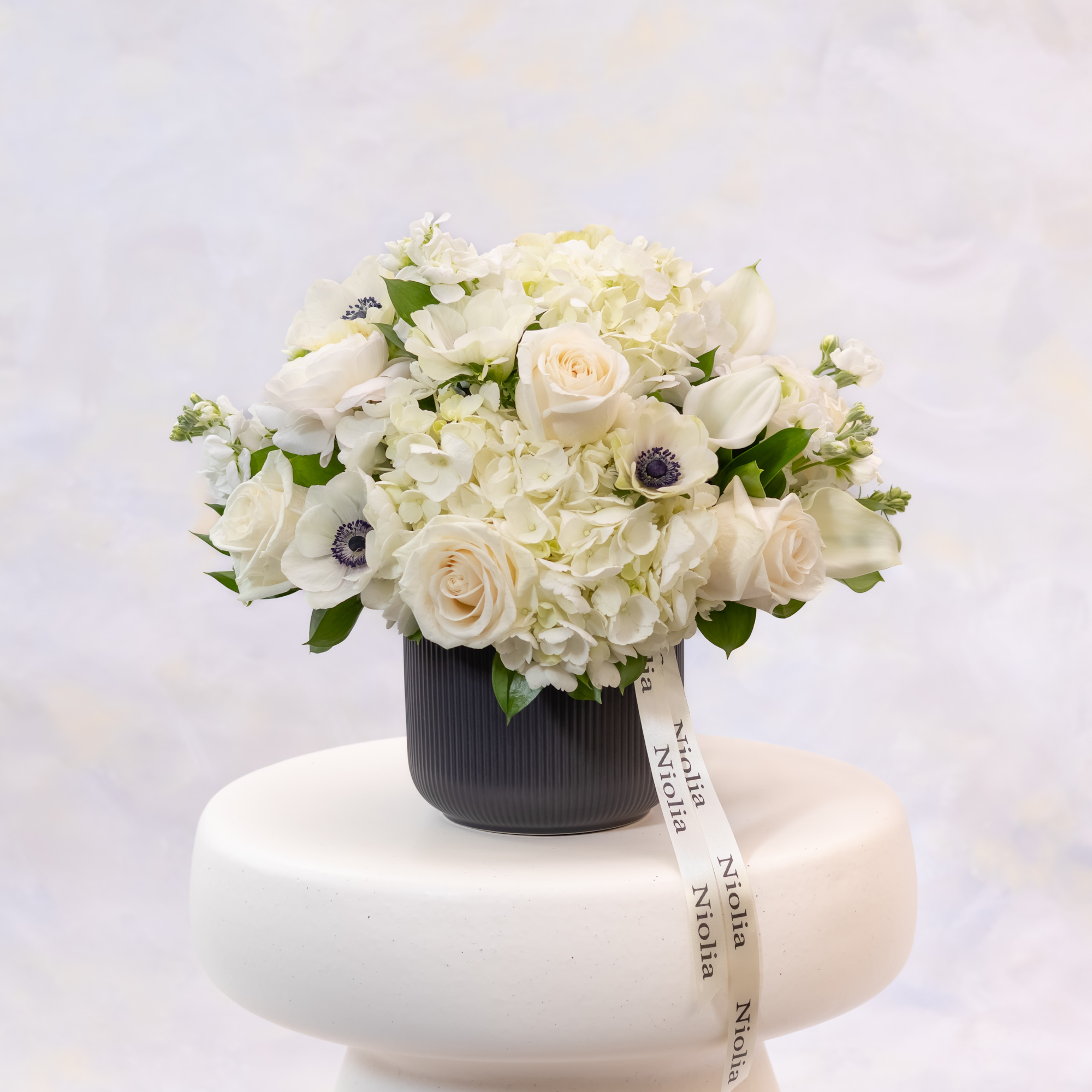 White Anemone Garden