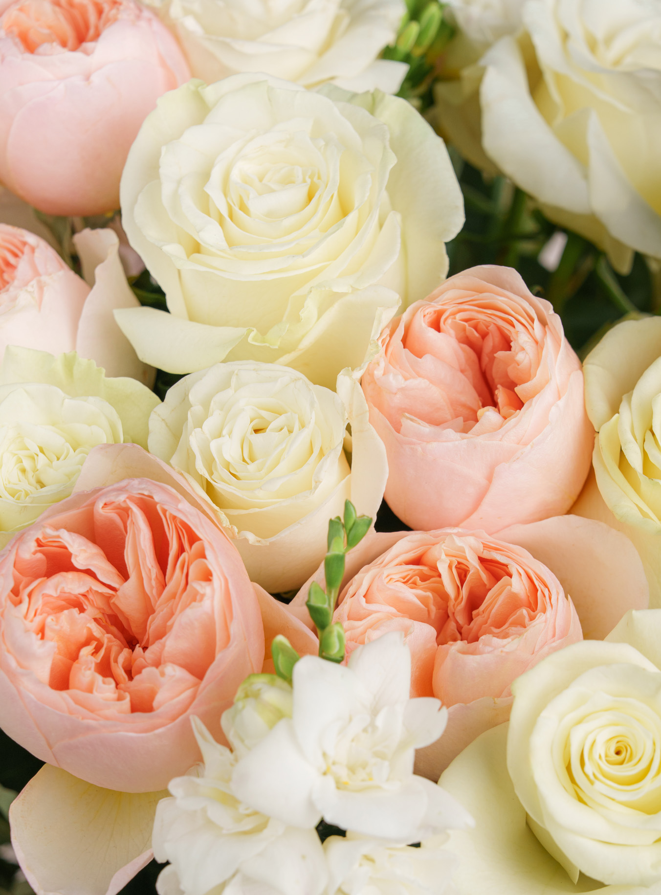 Juliette original by Ode a la ROSE — flowers available for delivery from Floom