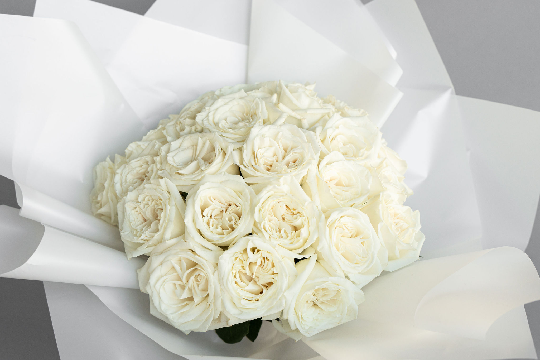 White Roses PETALONIA