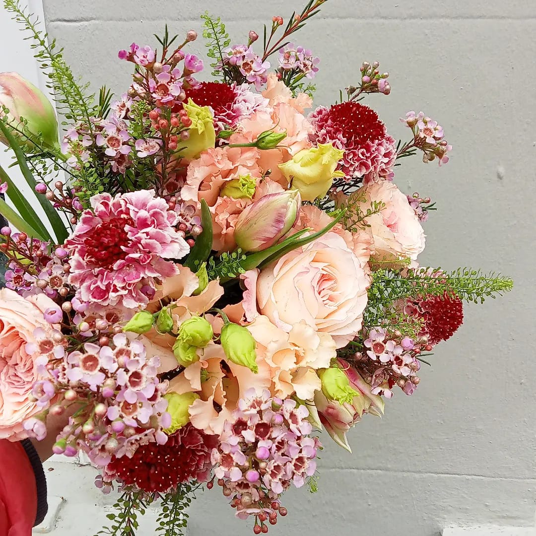 A spontaneous Scabios