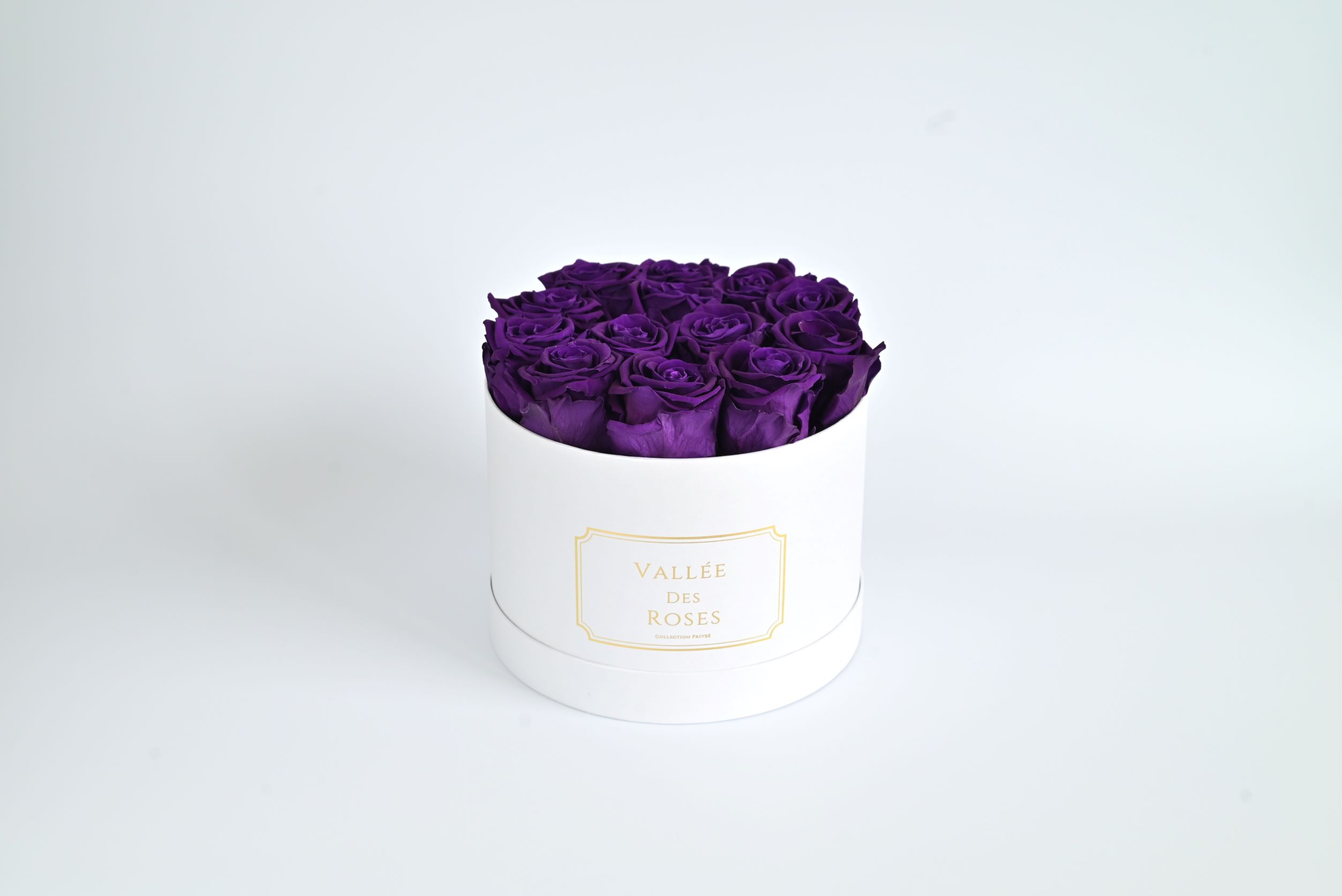 Purple Eternity Roses