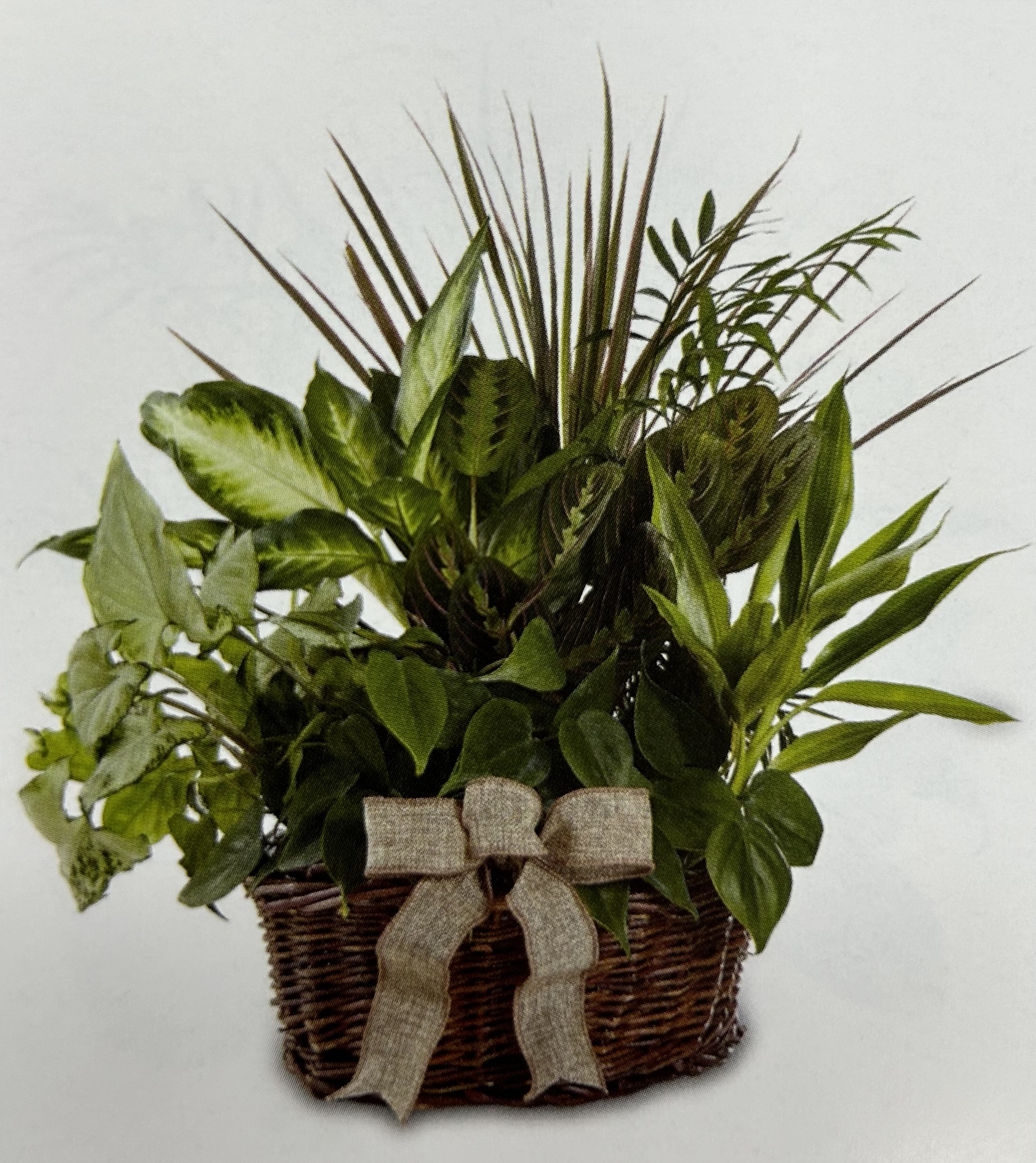 Classic Basket Garden