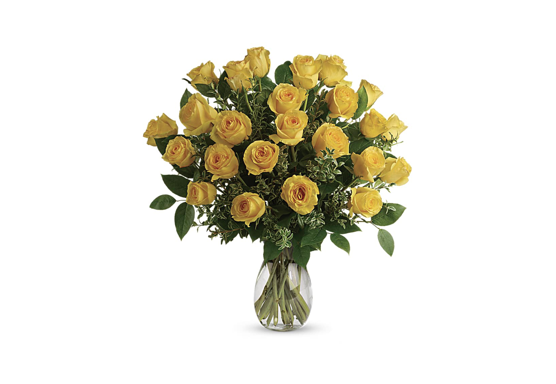 Yellow Roses