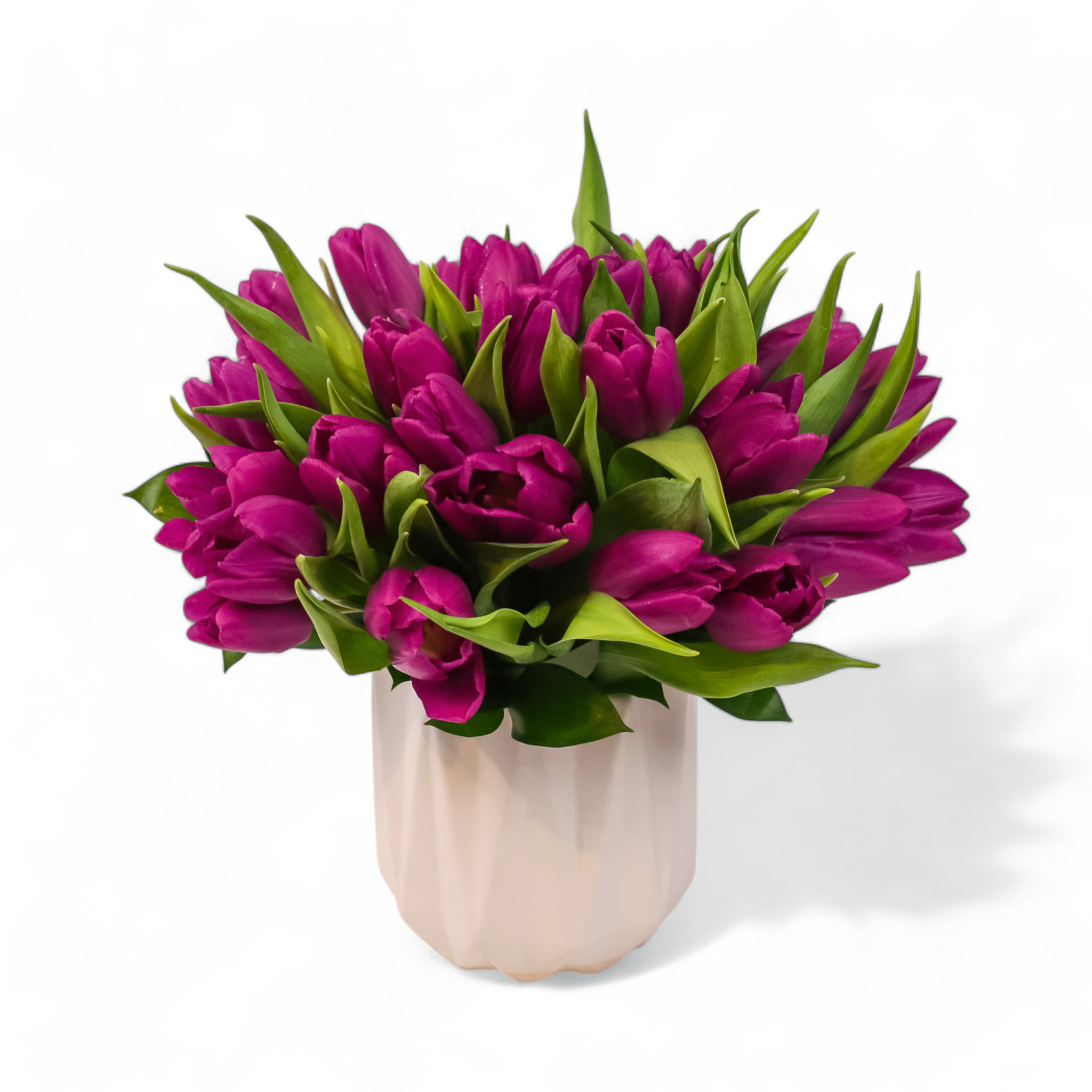 Modern Purple Tulips