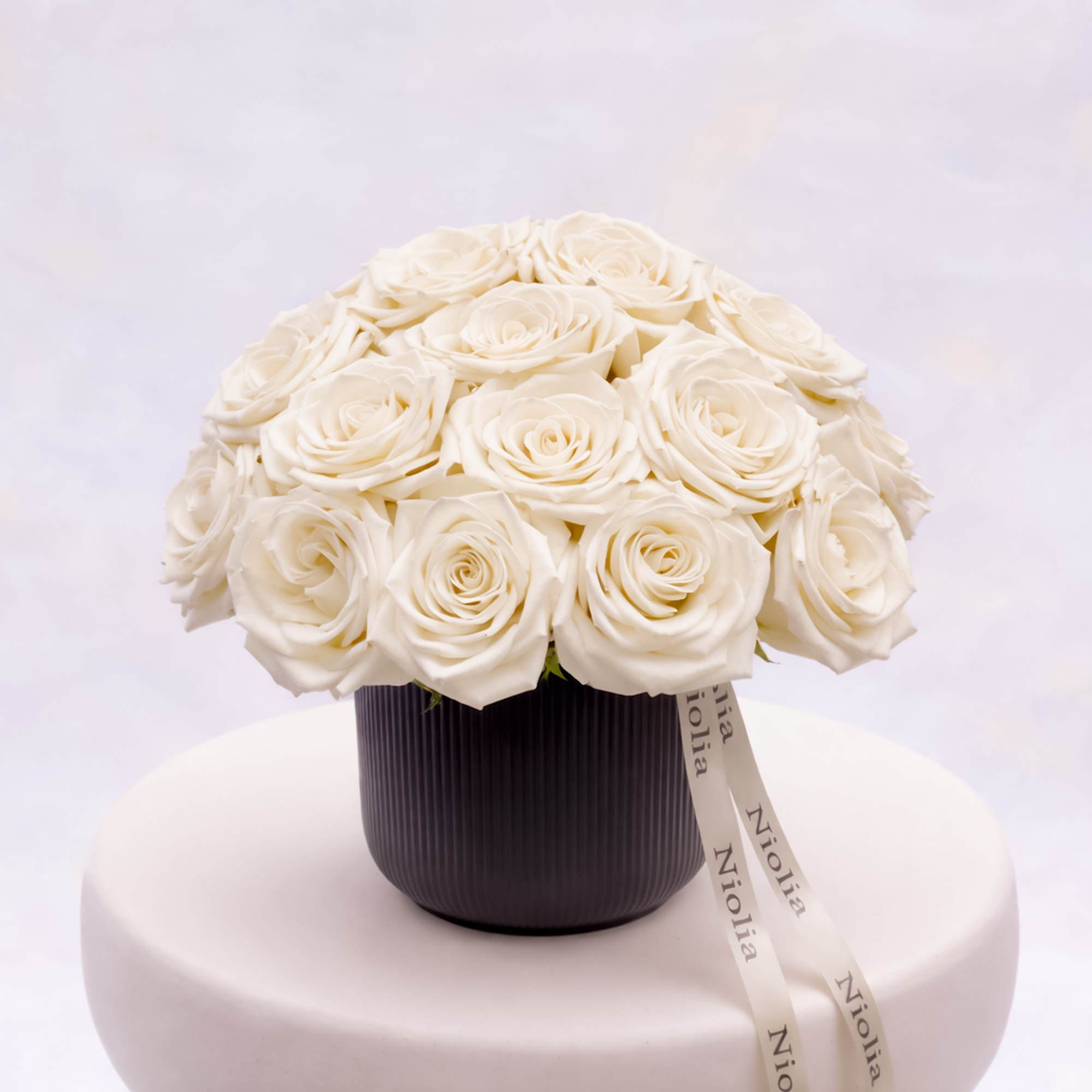 Classic White Roses