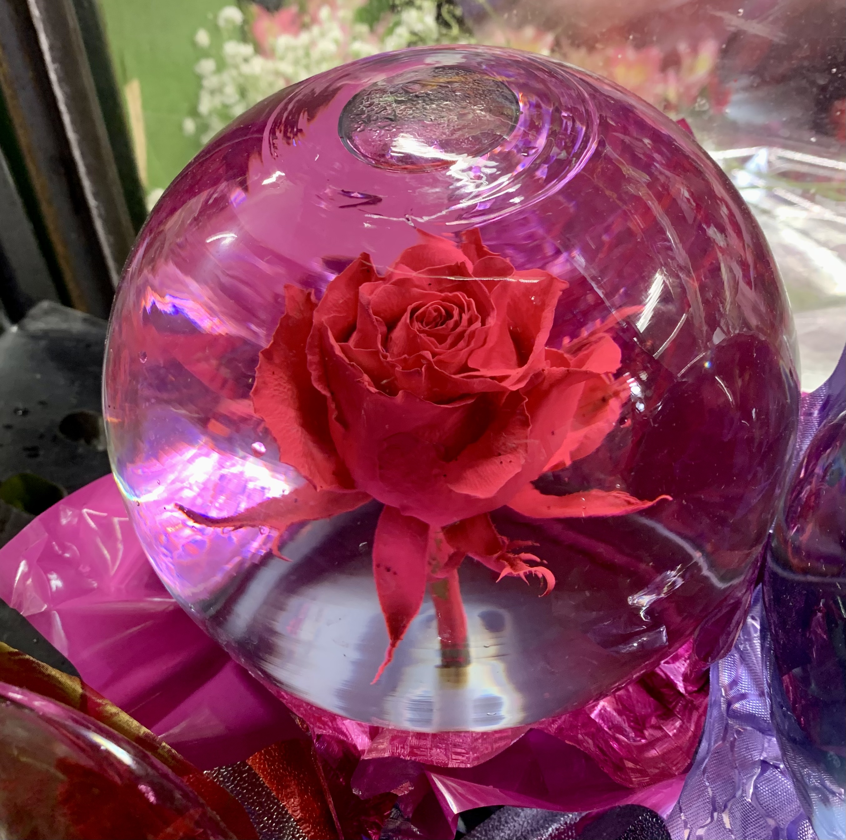 Eternal rose