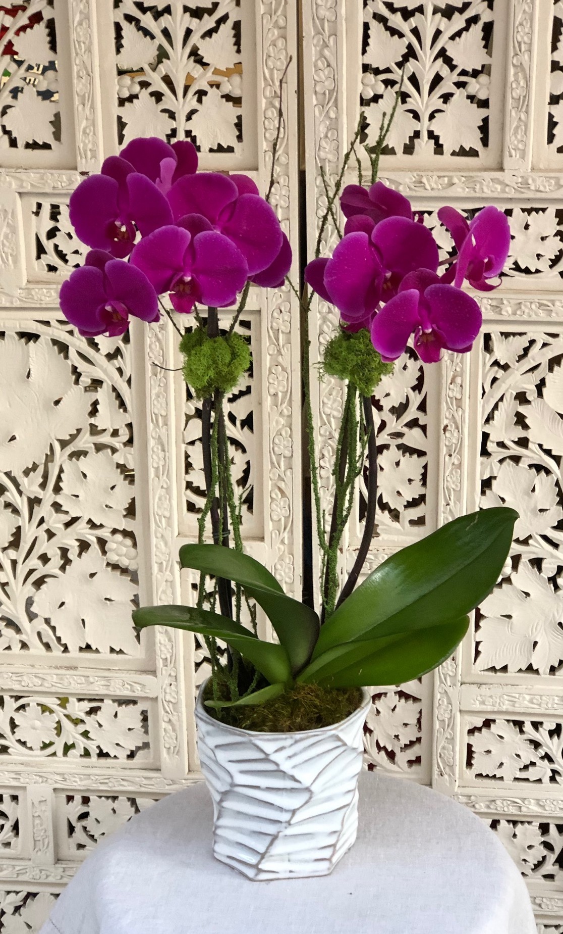 Double Pink Orchid